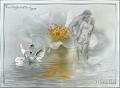 Image16