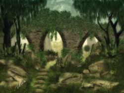 Image5