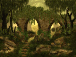 Image6