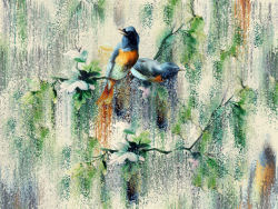 Image3