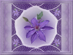 New Image